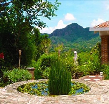 La Villa Bonita Culinary Vacation Tepoztlan Exterior photo